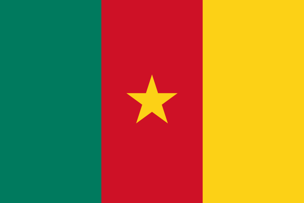 cameroon flag